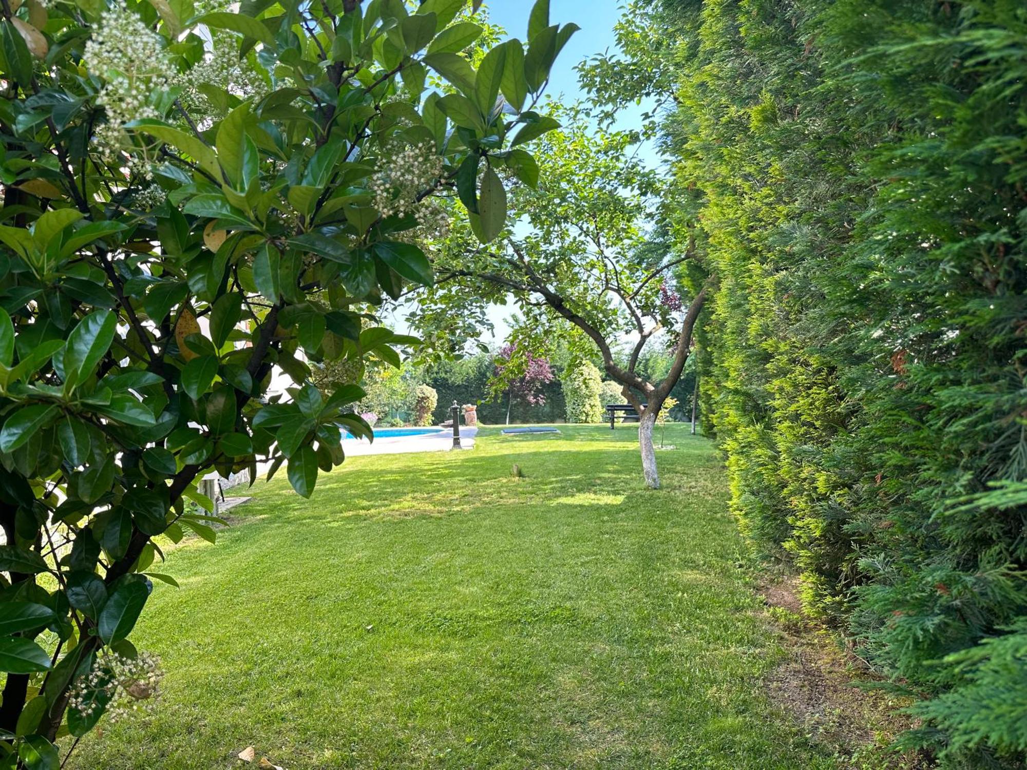 Guzel Evler Family Resort Sapanca Exterior foto